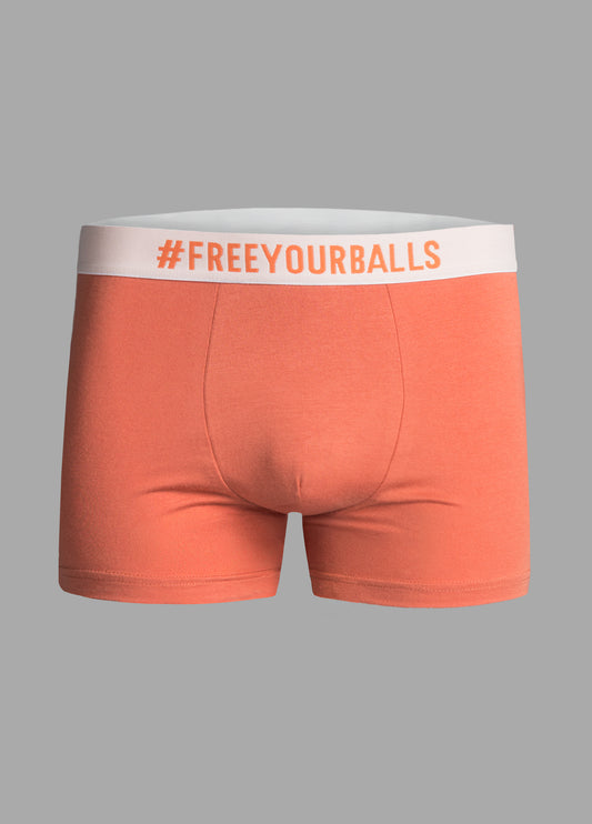 GINGER MODAL BOXERSHORTS