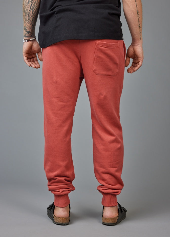 TANDOORI SPICE SOLID PANTS